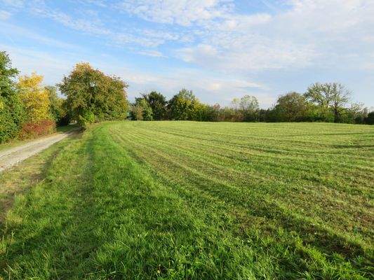 Zufahrt zur oberen Wiese 