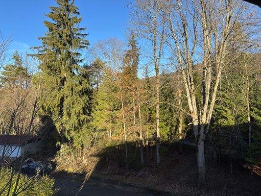 Blick vom Schlafzi. klein