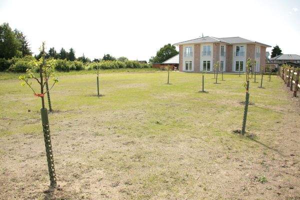 Zur Wohnung gehört dieser große Garten