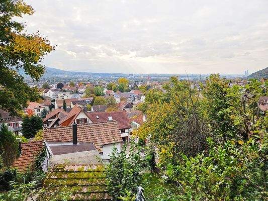 Blick vom Grundstück auf Basel