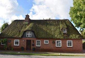 01.JPG