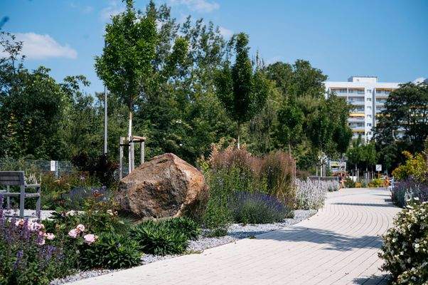 Neu ausgebaute Lili-Elbe-Straße