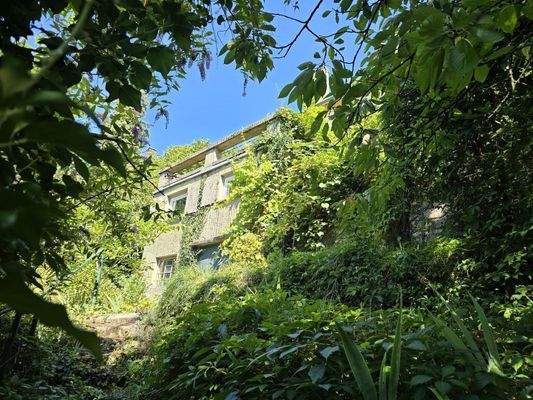 Blick vom Garten aus