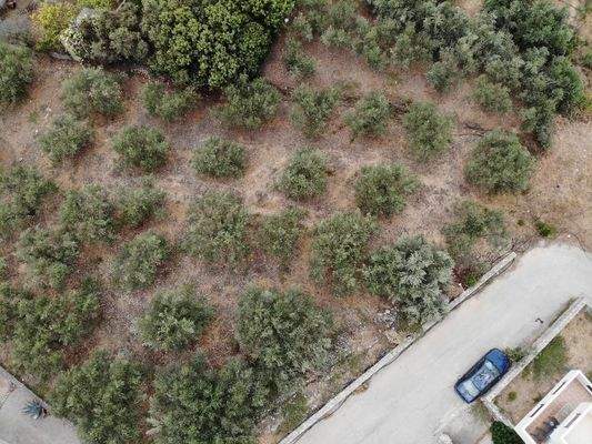 Kreta, Almyrida: Grundstück in Strandnähe mit Meerblick zu verkaufen