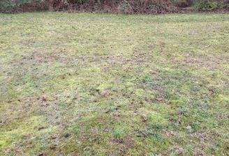 Grundstück Musterbild