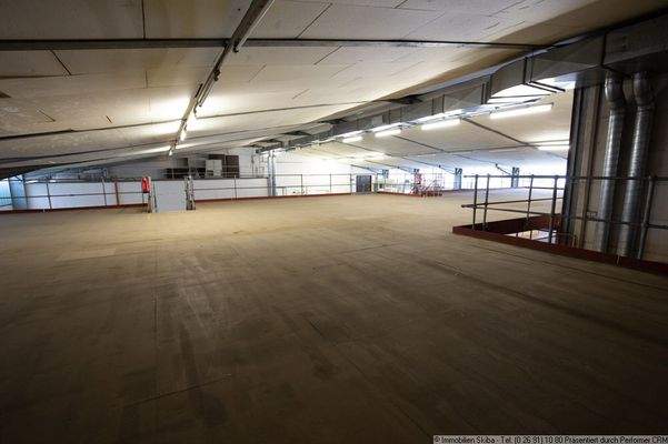 Halle obere Ebene Bild 2