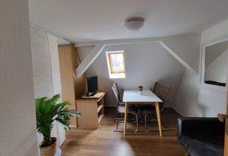 Wohnen-auf-Zeit-Stuttgart-Apartment_Wohn/Esszimmer