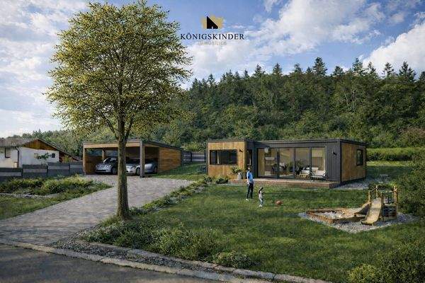 ...Unverbindliche Illustration Tiny House...