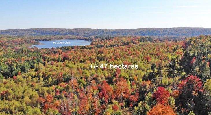 Nova Scotia - Smithfield - Wunderschönes 47-Hektar