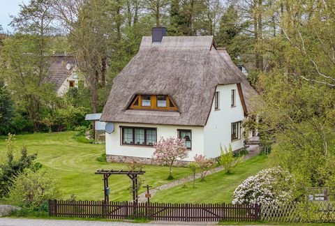 Born a. Darß Häuser, Born a. Darß Haus kaufen