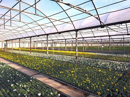 Foliengewächshäuser