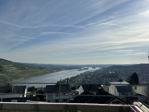 Bingen am Rhein Wohnungen, Bingen am Rhein Wohnung mieten