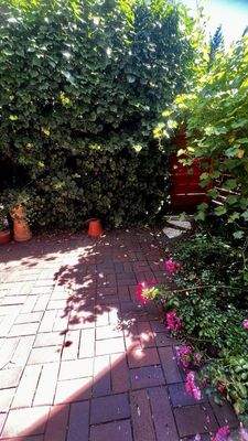 Gartenbereich Bild 2