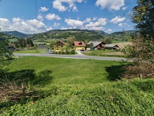 Kleinlandwirtschaft/Wiesenfläche