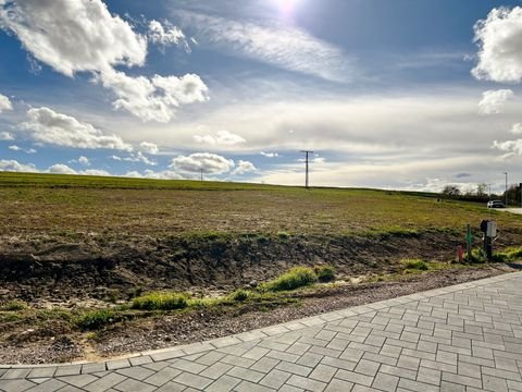Partenheim Grundstücke, Partenheim Grundstück kaufen