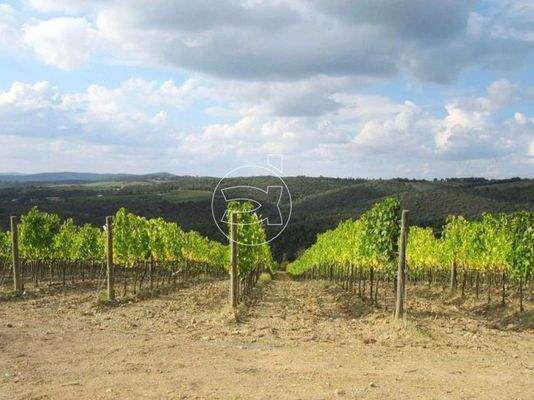 Luxus Anwesen | Montalcino