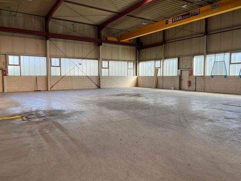 Hörstel Halle, Hörstel Hallenfläche