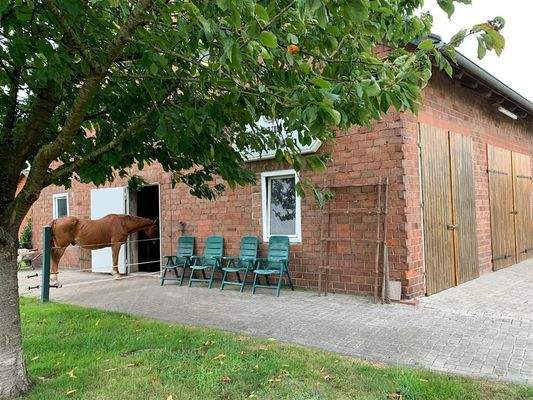 Zur Pferdebox