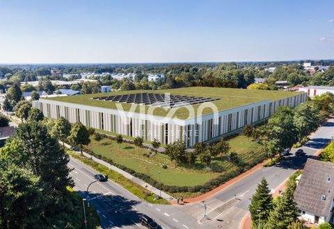 Steinhagen Halle, Steinhagen Hallenfläche