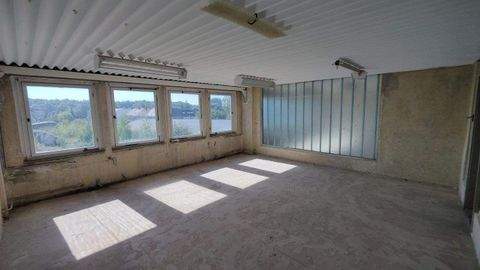 Glauchau Halle, Glauchau Hallenfläche