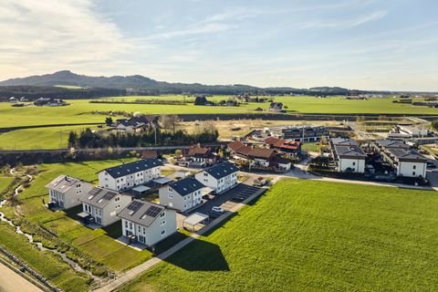 Straßwalchen Häuser, Straßwalchen Haus kaufen