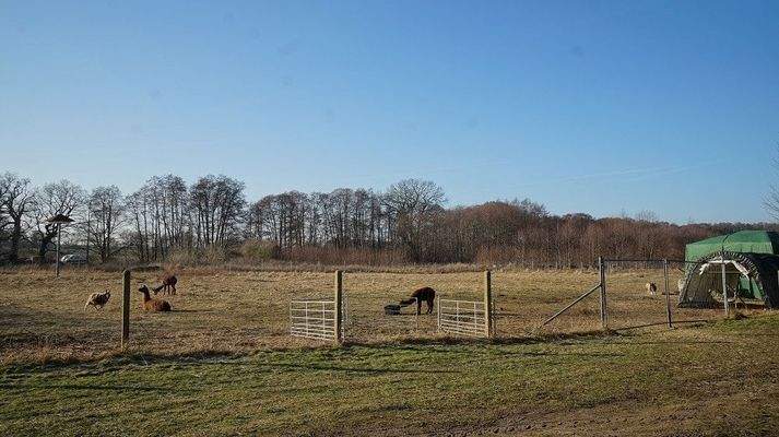 Aussicht Grundstück hinten