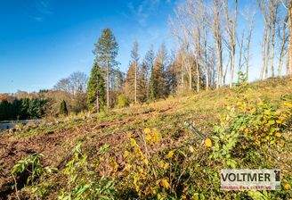 Grundstücksansicht_2