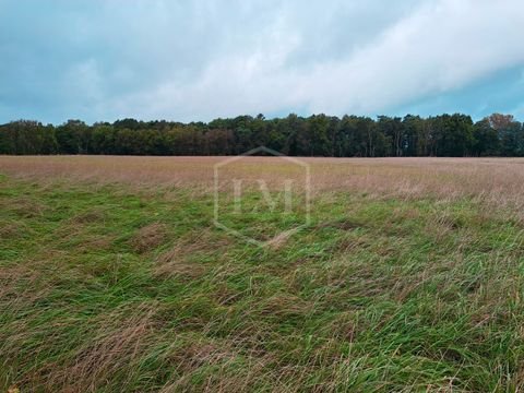 Visselhövede Bauernhöfe, Landwirtschaft, Visselhövede Forstwirtschaft