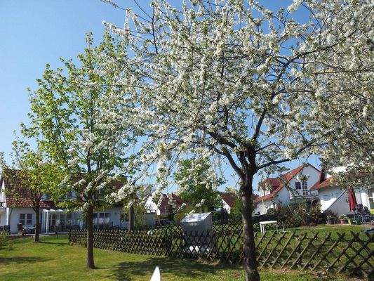 Blick von der Terrasse