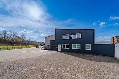 Hilzingen Halle, Hilzingen Hallenfläche