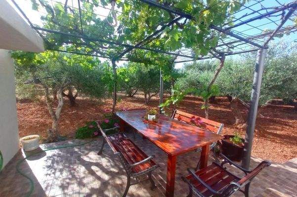 Kreta, Kavousi: Tolle Villa mit Pool, Meerblick und Olivenhain zu verkaufen