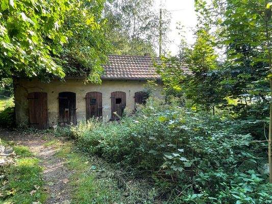 Groß (IMG_4499).jpeg