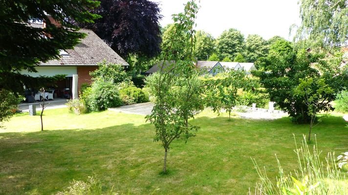 Blick in den Garten