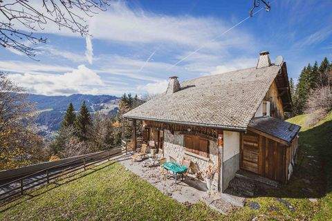 Morzine Renditeobjekte, Mehrfamilienhäuser, Geschäftshäuser, Kapitalanlage