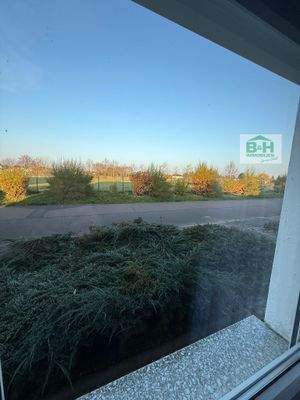 Ausblick Anliegerstrasse