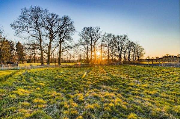 Ein schöner Grund für deine Zukunft