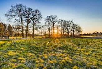 Ein schöner Grund für deine Zukunft