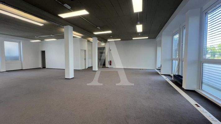 Open-Space Bereich_Eingang