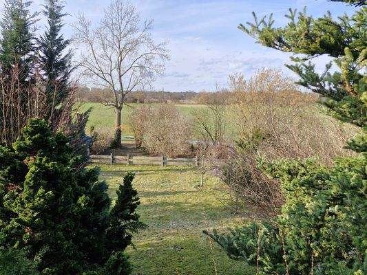 Blick von der Terrasse in den Garten
