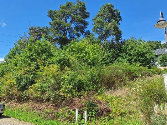 Blick von der Sarrebourg-Straße auf das Grundstück