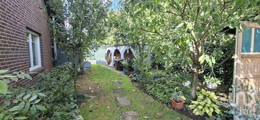 Garten rückseite bild2