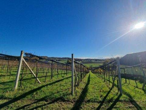 Straden Häuser, Straden Haus kaufen