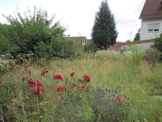 Ansicht vom Garten