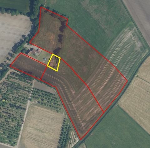 Westerstede / Torsholt Bauernhöfe, Landwirtschaft, Westerstede / Torsholt Forstwirtschaft