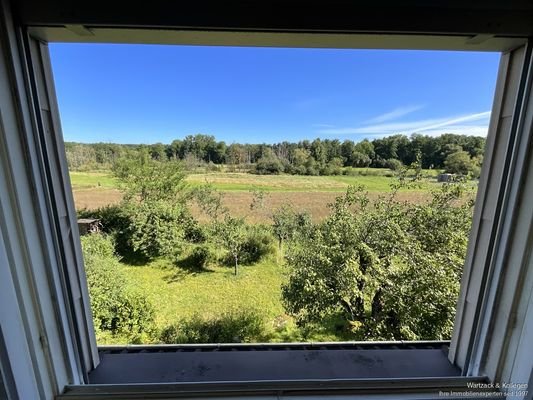 Blick aus dem 1. OG