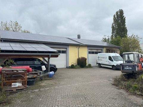 Bassenheim Halle, Bassenheim Hallenfläche