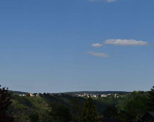 DSC_0039.JPG