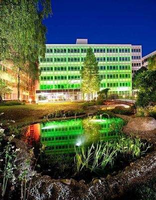 Außenansicht - Garten 5