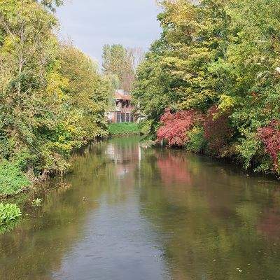 Die Erft bei Minkel-Lepp  