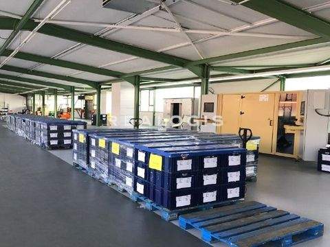 Immendingen Halle, Immendingen Hallenfläche